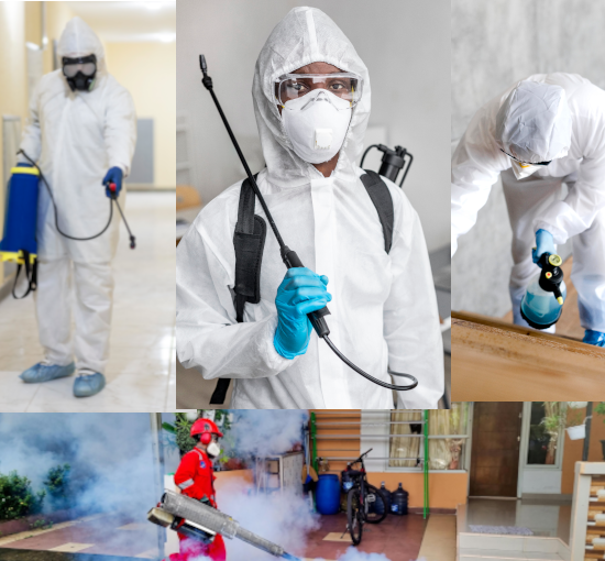 Secure Pest Control team providing safe and eco-friendly pest management services