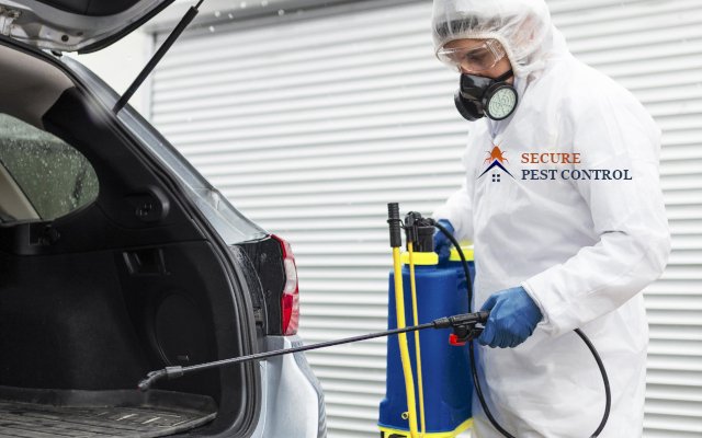 About Secure Pest Control – experienced pest control experts in Tamil Nadu