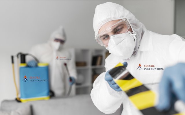 About Secure Pest Control – experienced pest control experts in Tamil Nadu
