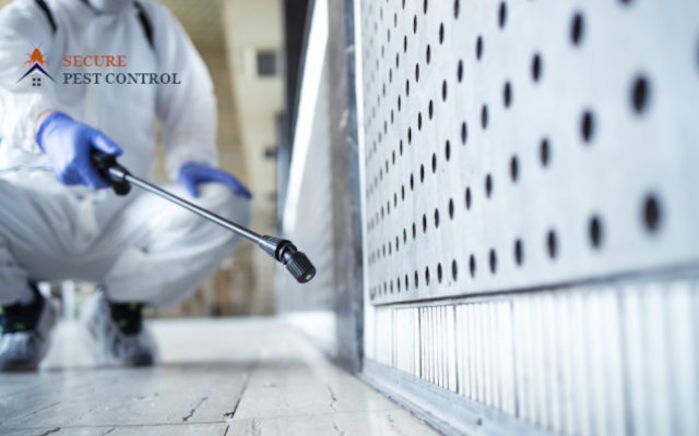 About Secure Pest Control – experienced pest control experts in Tamil Nadu